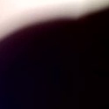 cummingdicktoy1's Profile Picture