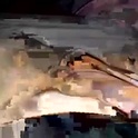 cumosapien's Profile Picture