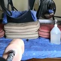 curiousbisex22's Profile Picture