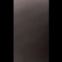 curvyd454066's Profile Picture