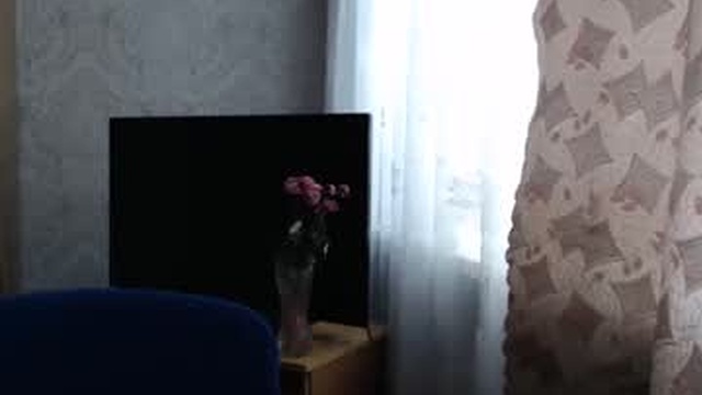 cute_lion_