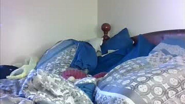 cuteshotkiki