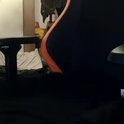 cyberdutchie's Profile Picture
