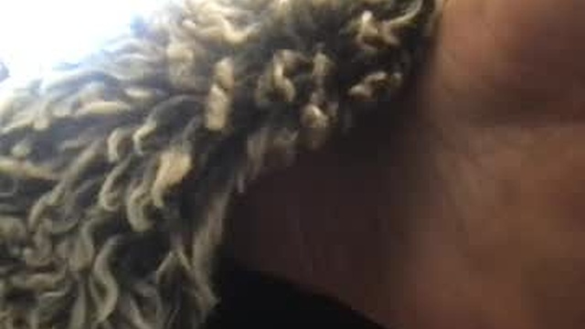 daddydivinedanielle