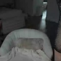daintybabyelle's Profile Picture