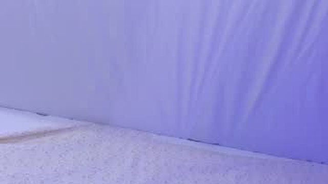 dakkotta_curvy