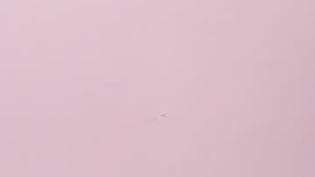 Recent Screenshot of  dakota_rage