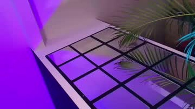 dalilathoms