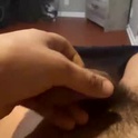 damicodaniel's Profile Picture