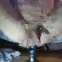 danieljepsen85's Profile Picture