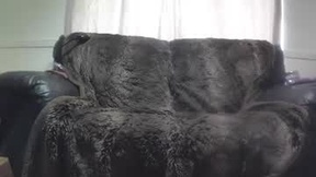 Recent Screenshot of  danjenjam