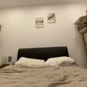 davepil89's Profile Picture
