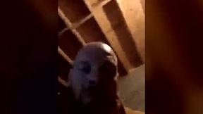 Recent Screenshot of  deedeeper747