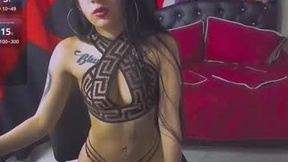 Недавний снимок экрана denissehanler