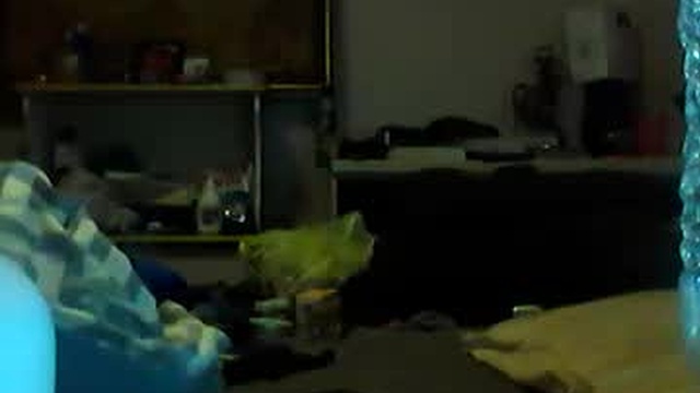 di4mond_fir3