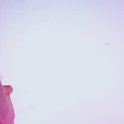 diosa_solis's Profile Picture