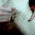 dirty_villox's Profile Picture