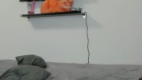 Recent Screenshot of  dirtycpl007