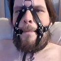 dirtydogsday's Profile Picture