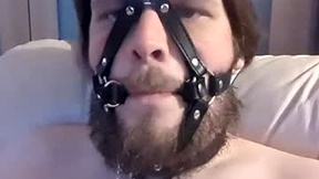 Recent Screenshot of  dirtydogsday