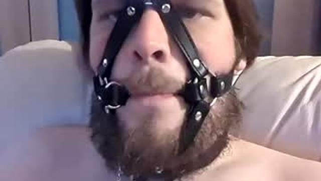 dirtydogsday