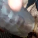 dirtymindedguy's Profile Picture