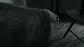 Recent Screenshot of  dmtuda11