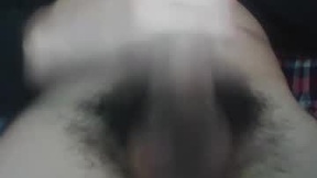 Recent Screenshot of  dndfss