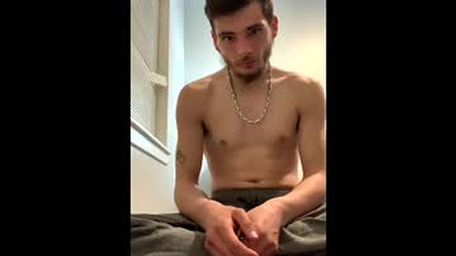 dnut4341