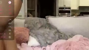 Recent Screenshot of  docwife12