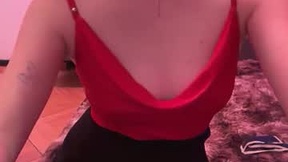 Recent Screenshot of  doganddeer