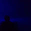 doggiedog561's Profile Picture