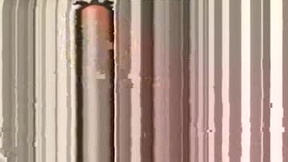 Recent Screenshot of  dollar_9xxx