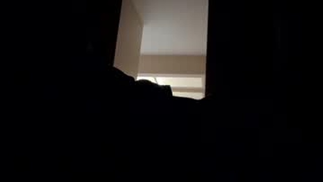 dom_sexy
