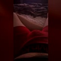 druncut30's Profile Picture