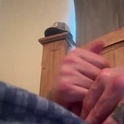 dtworthamdw's Profile Picture
