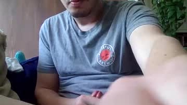 dylios