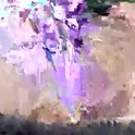 e501024's Profile Picture