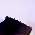 ebony__queen2's Profile Picture