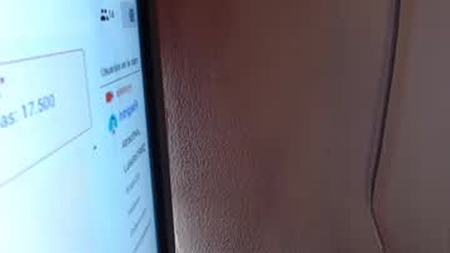 ela_foxyy