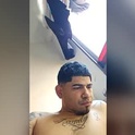 elberjimenes97's Profile Picture