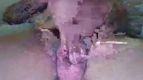 Recent Screenshot of  elephant_titus