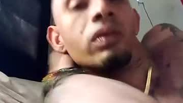elfavo95