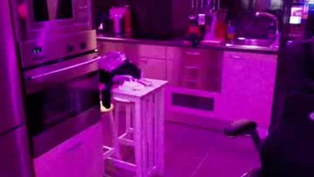 elise_tv