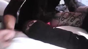 Recent Screenshot of  elisetrap