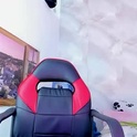 ellybloom's Profile Picture