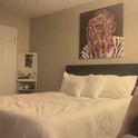 emilytaylorxo's Profile Picture
