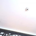 escar_let's Profile Picture