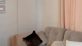 Aktueller Screenshot von evablimey