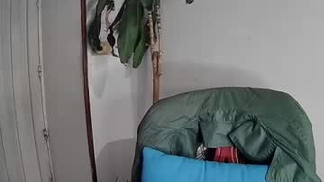 evacollins12